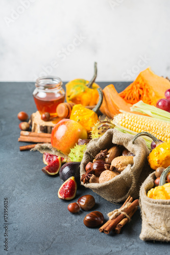 Fall autumn harvest thanksgiving background with pumpkin apple chestnut corn © aamulya