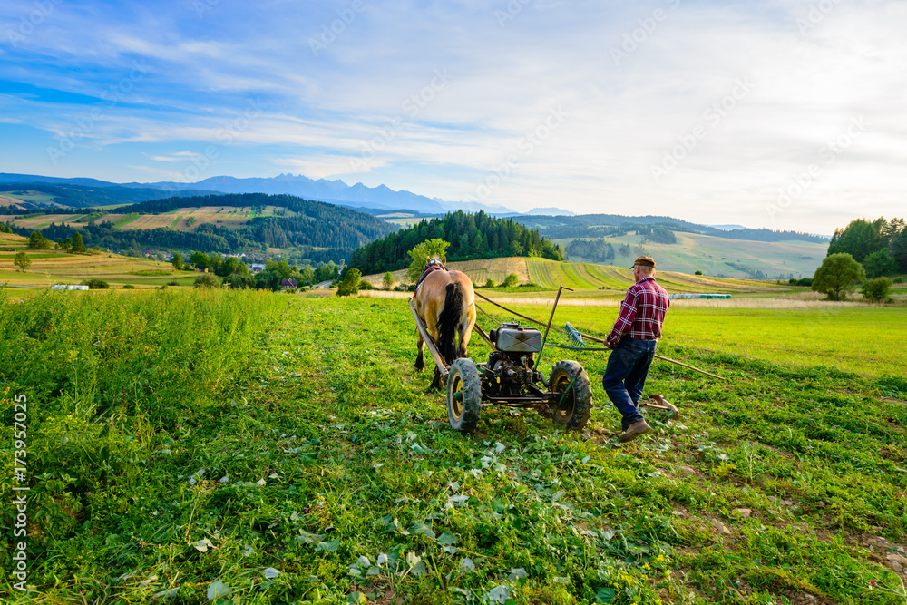 Farmer cultivates the soil with a horse in a mountainous area Farmer cultivates the soil with a horse in a mountainous area