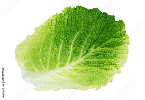 Cabbage isolated on a white background
