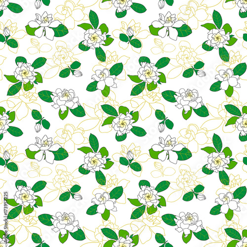 Seamless pattern with Gardenia jasminoides, cape jasmine, danh-danh.