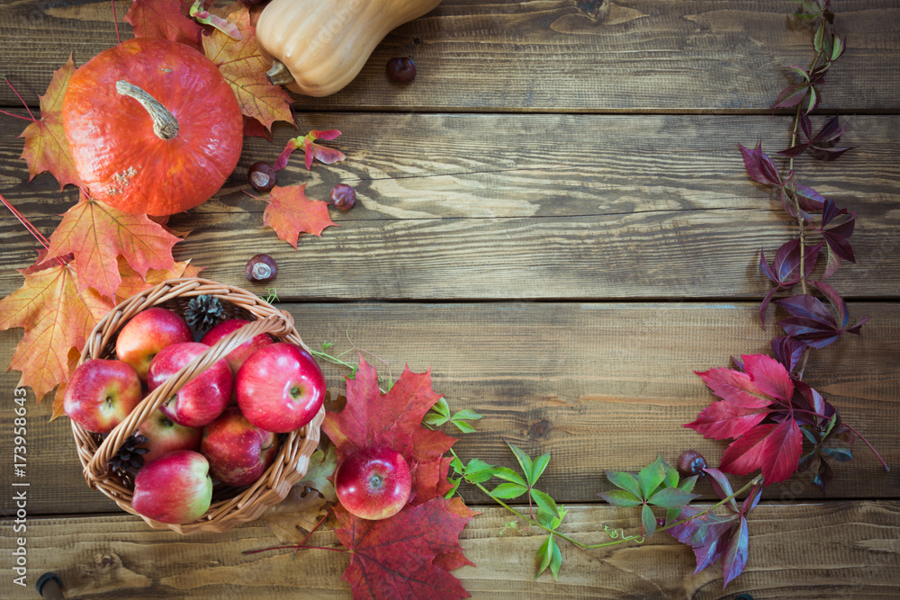 Fall concept. Colorful autumn leaves with copy space on wooden board. Fall concept. Colorful autumn leaves with copy space on wooden board.