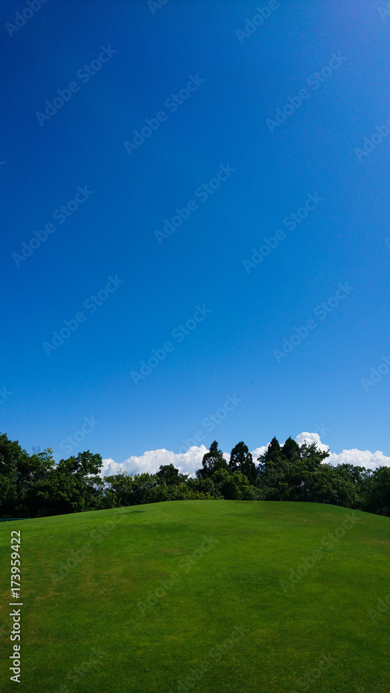 青空の下の公園にある丸い広場と木 青空の下の公園にある丸い広場と木