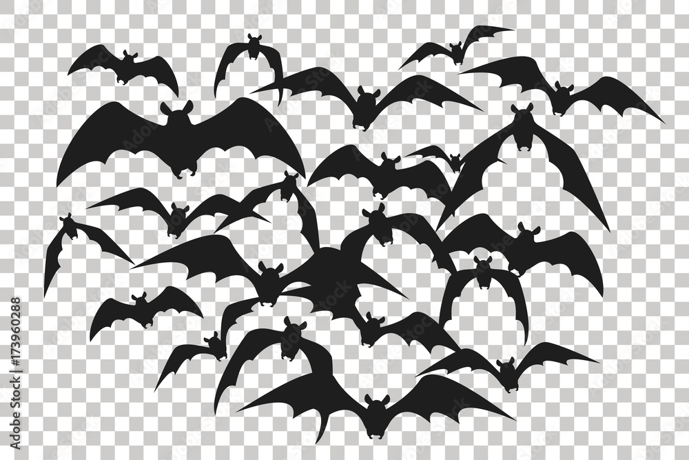 Black silhouette of flock of bats. Bunch of bats isolated on ...