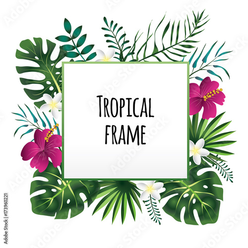 Square tropical frame, template with place for text. Vector illustration, isolated on white background.