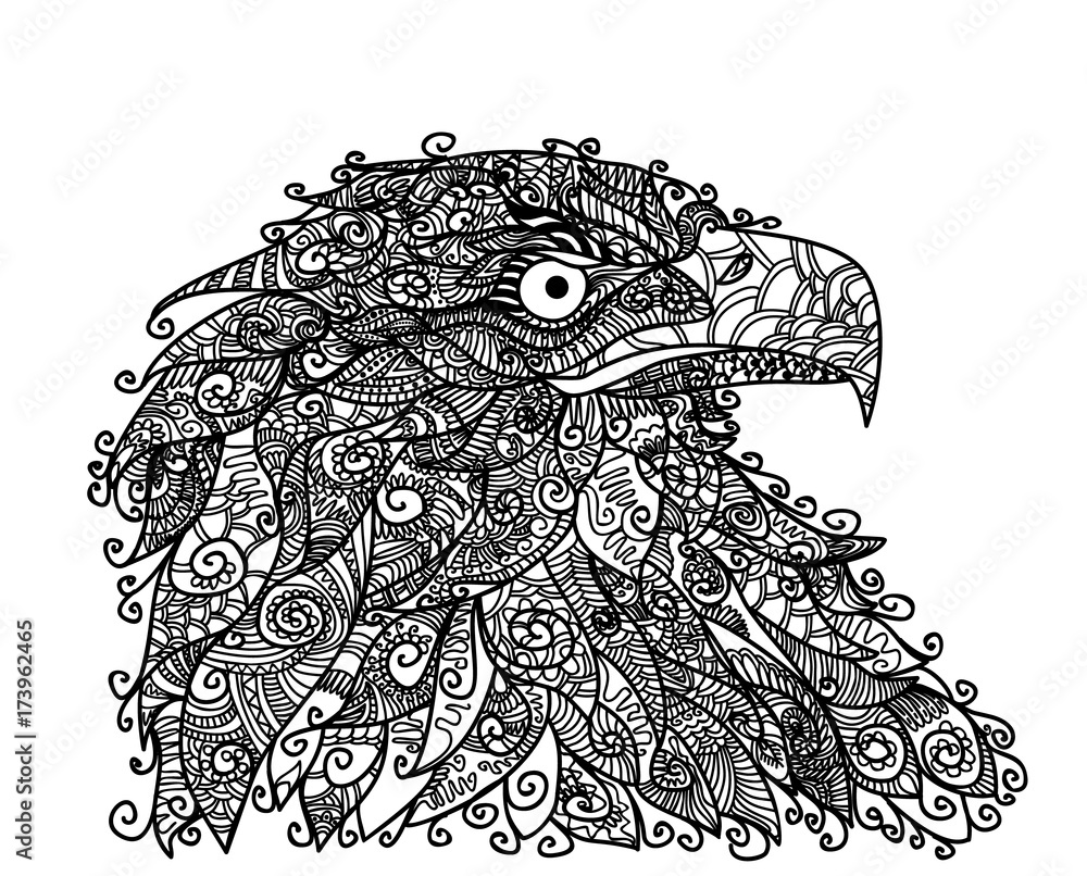 Fototapeta premium Head of an eagle