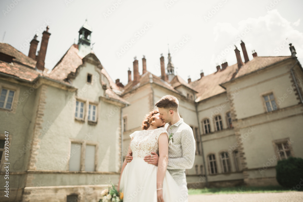 Happy wedding couple hugging and smiling each other on background old castle