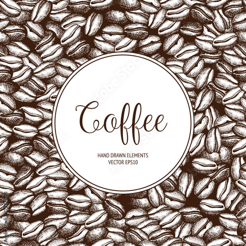 Vector background with hand drawn natural coffee beans. Natural vector pattern 