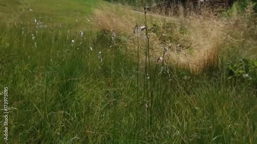 pov walking near Valacia lake, Alta badia photo