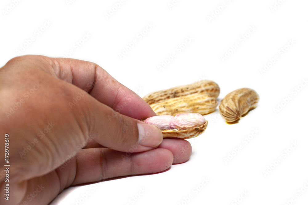 raw peanut in hand on white background isolated raw peanut in hand on white background isolated