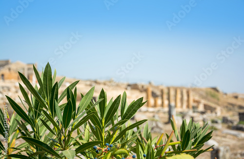 View of the ruins of the city of Hierapolis, modern name of the location - Pamukkale, Turkey. © allai