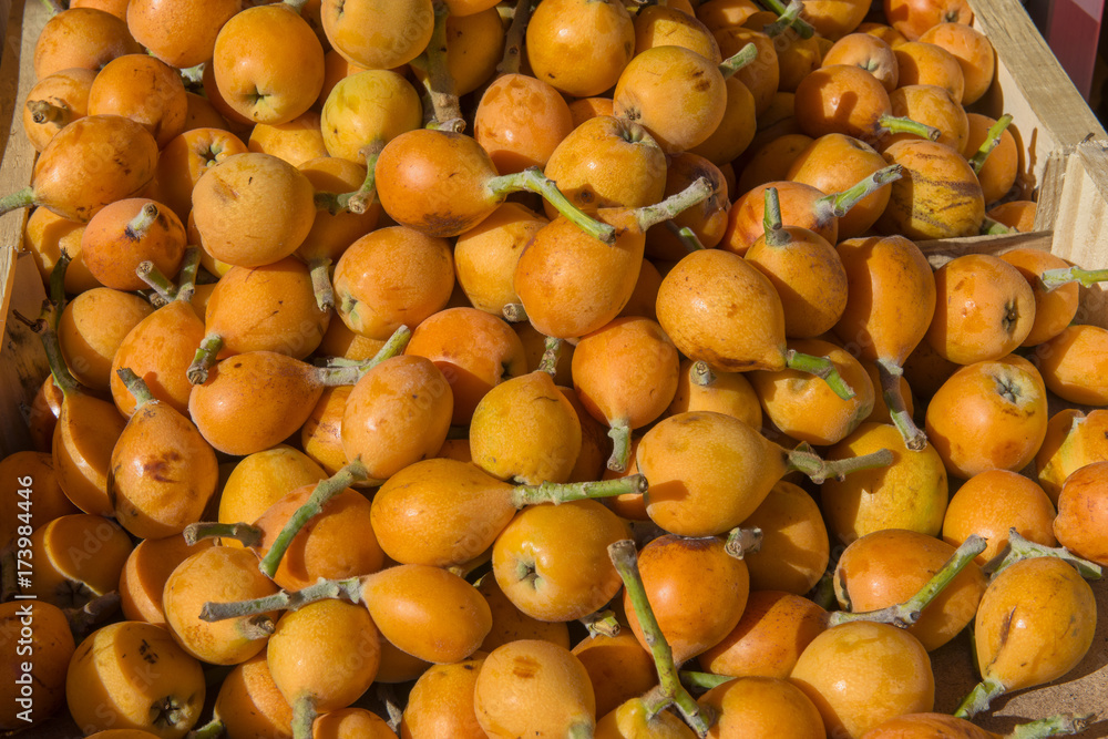 Italy,Sicily; fruits; medlar fruits.