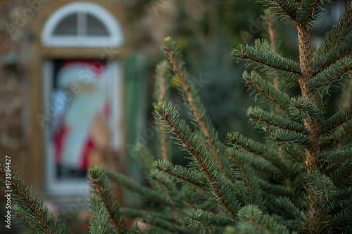 Weihnachtsbaum Markt zum Kauf Verkauf / Nordmanntanne, Blaufichte, Rotfichte, Edeltanne