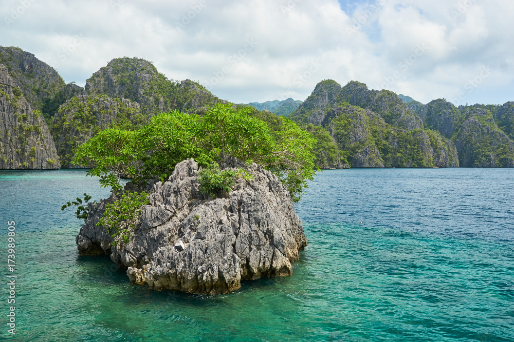 Naklejka premium A Small Islet Near Coron Island, Philippines
