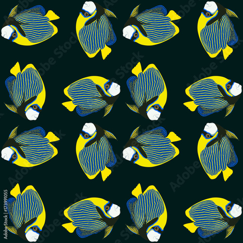 Vector seamless pattern from swim fish. Emperor angelfish. Pomacanthus imperator.