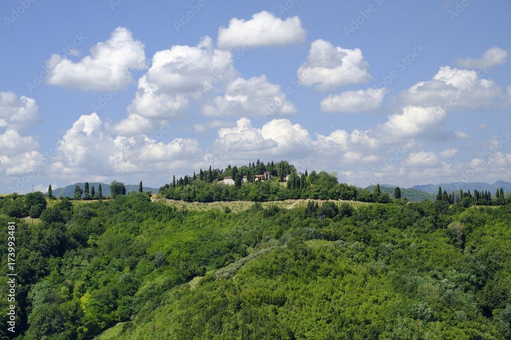 Fototapeta premium Summer landscape between Brisighella and Modigliana (Romagna, Italy)