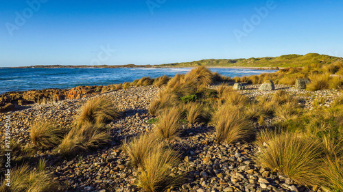 The North Coast of Tasmania in Marrawah photo