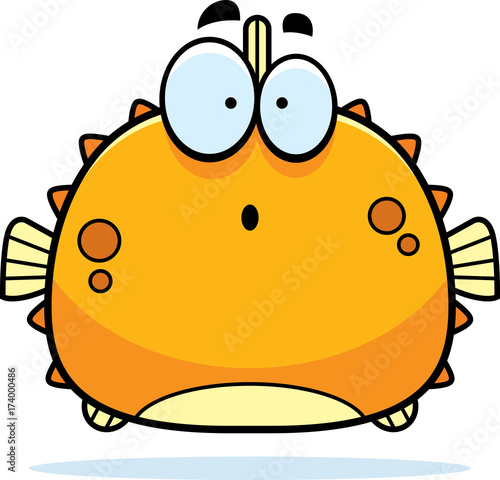 Surprised Little Blowfish