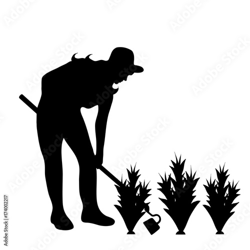 Vector silhouette of gardener on white background.