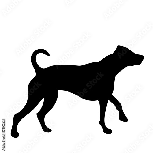 Vector silhouette of dog on white background.