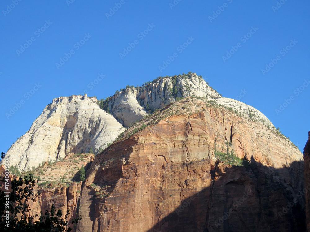 Fototapeta premium Zion Scenery
