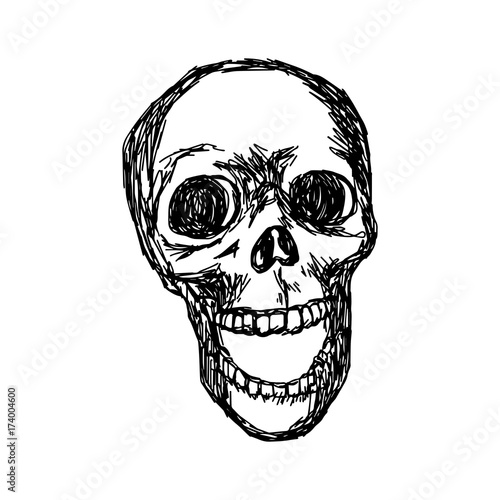 skull vector illustration sketch hand drawn with black lines, isolated on white background