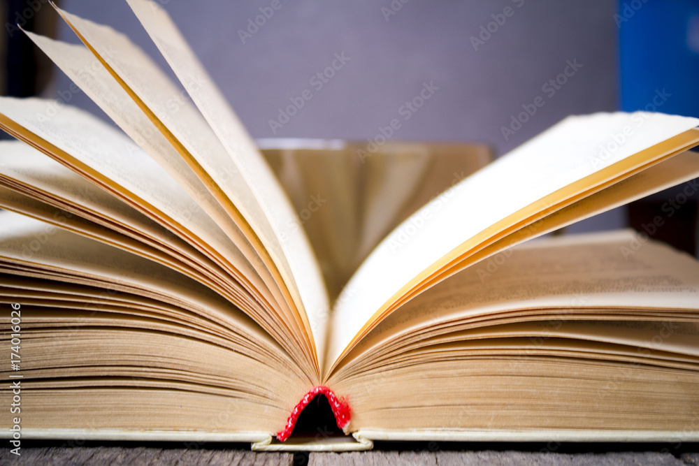 Naklejka premium an open book