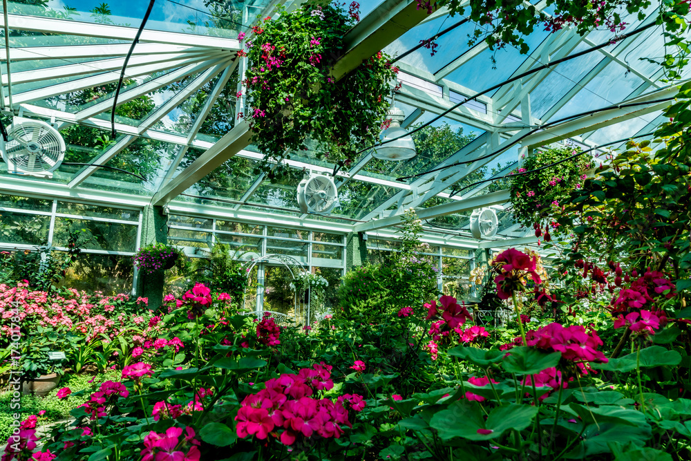 Green house roof Green house roof