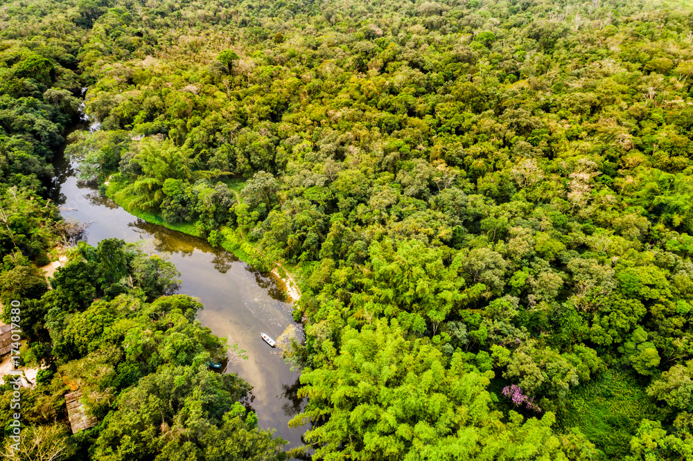 Aerial View of Amazon Rainforest, South America Aerial View of Amazon Rainforest, South America