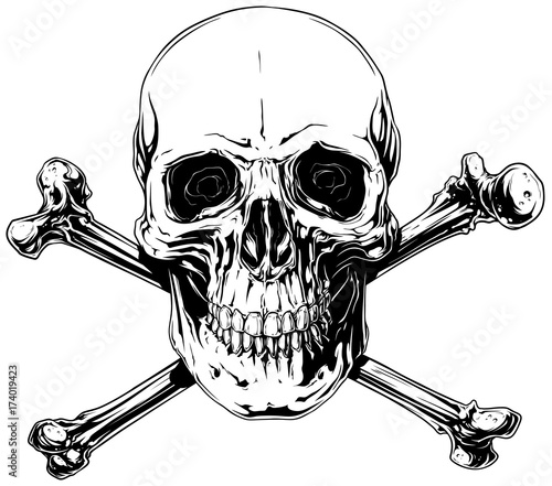 Graphic detailed human skull with crossed bones