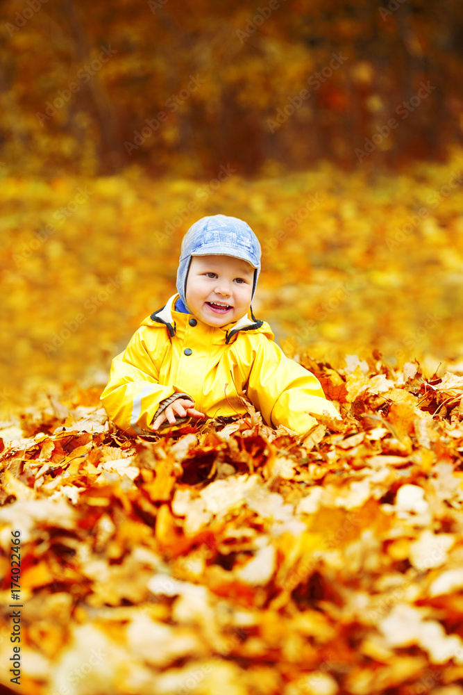 Little boy on background of autumn park. Child with a maple leaf. Fall scene. Little boy on background of autumn park. Child with a maple leaf. Fall scene.