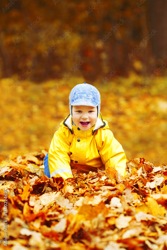 Little boy on background of autumn park. Child with a maple leaf. Fall scene. Little boy on background of autumn park. Child with a maple leaf. Fall scene.
