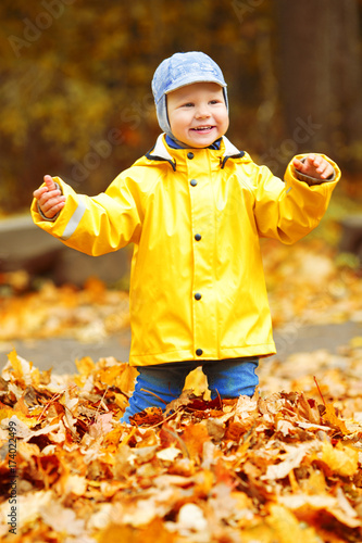Little boy on background of autumn park. Child with a maple leaf. Fall scene.