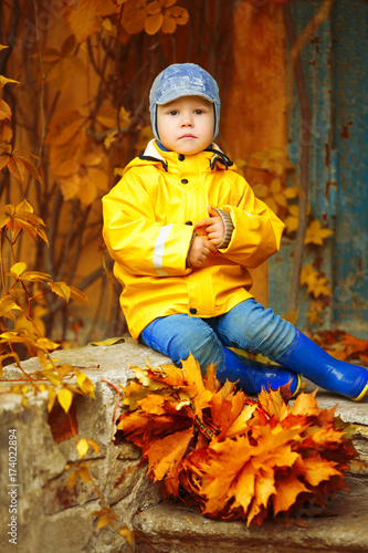 Little boy on background of autumn park. Child with a maple leaf. Fall scene.