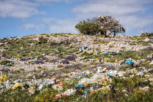 Hill with tree full of rubbish and plastic bags
