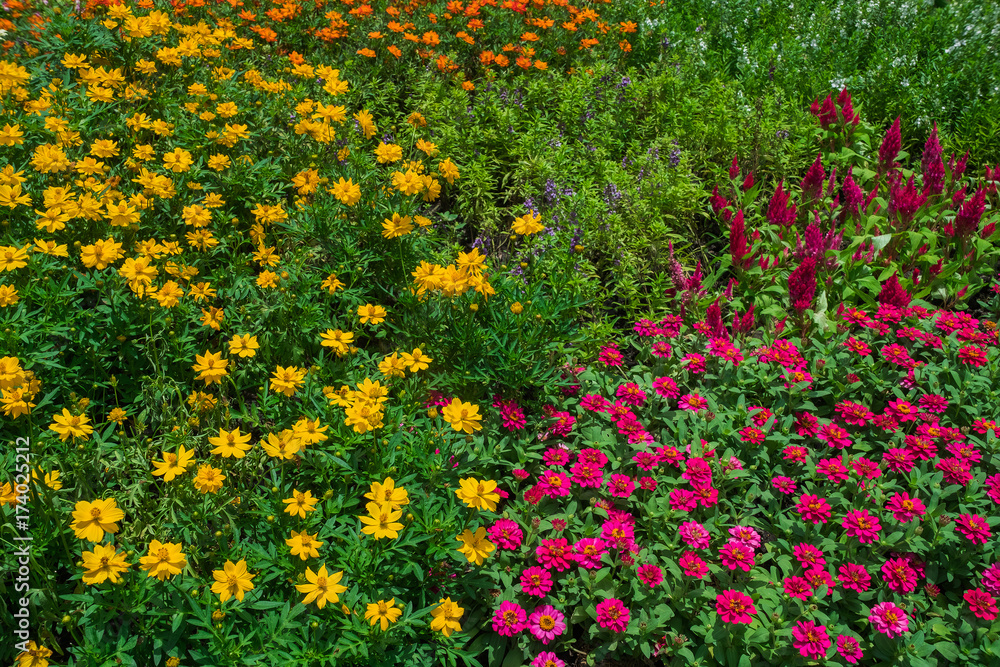 Pretty manicured flower garden with colorful
