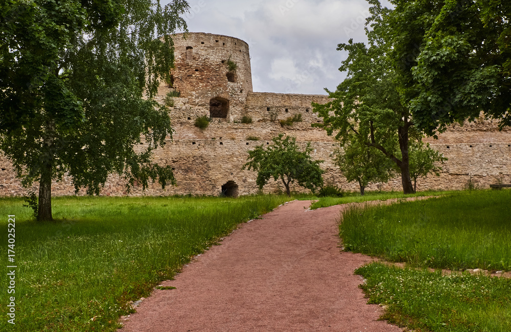 A deciduous tree on the background of the towers and the walls of a fortress/An ancient fortress wall with watchtowers. Before the wall grows a deciduous tree with a round crown. Russia, Pskov region