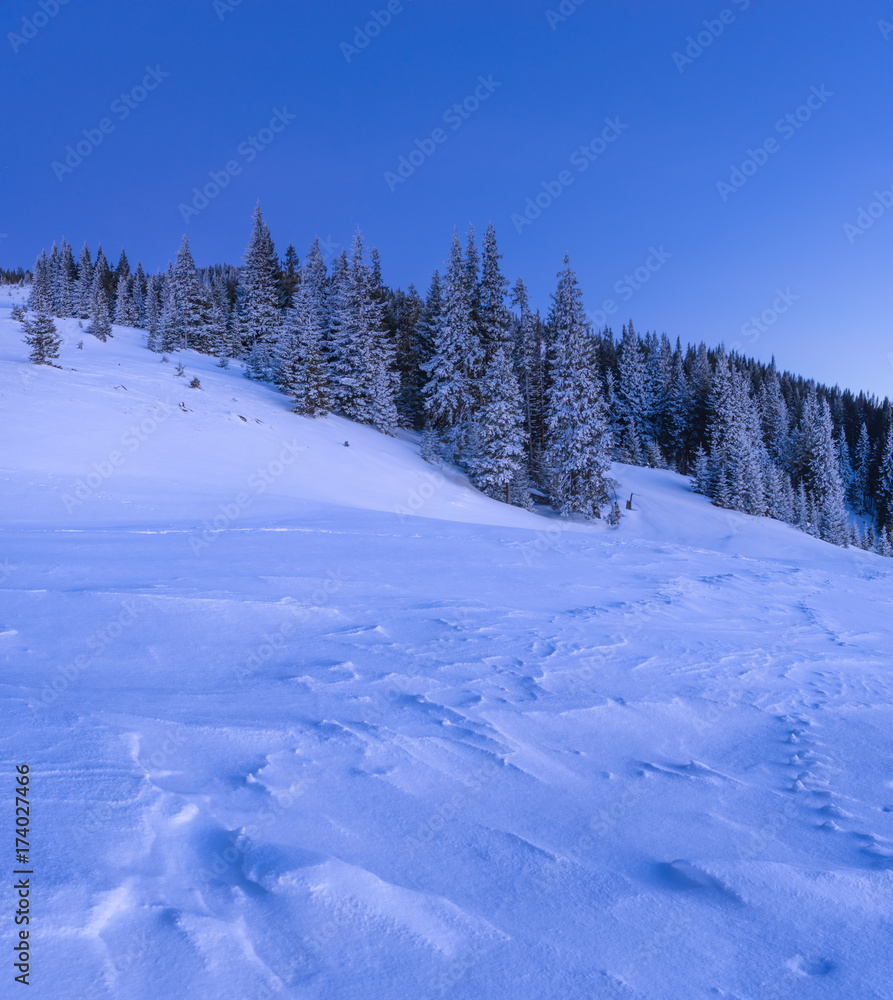 Winter landscape of a mountain hill with snow at the foreground and snowy forest at the background Winter landscape of a mountain hill with snow at the foreground and snowy forest at the background