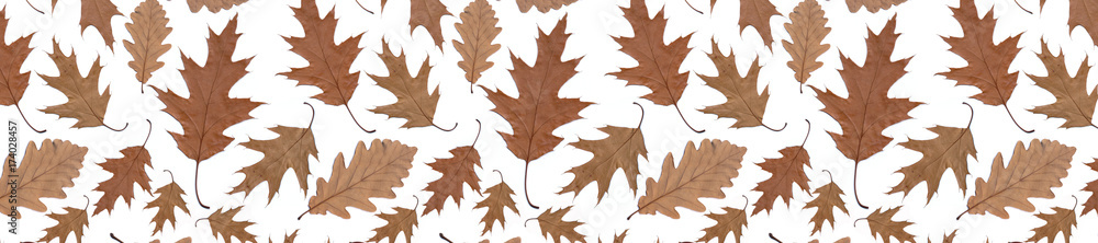 header panorama background autumn pattern header panorama background autumn pattern