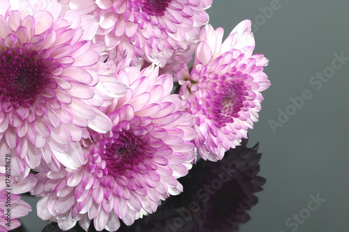 Bouquet of Chrysantimum on reflect gray mirror