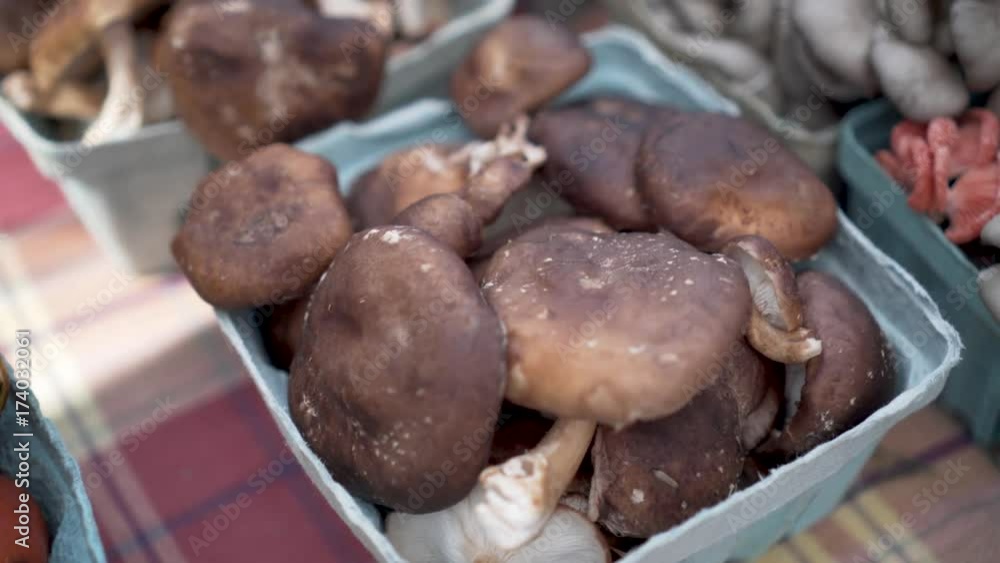 Fresh shiitake mushrooms that the camera moves over and tilts down onto a paper box of fresh mushrooms at local farmers market. Fresh shiitake mushrooms that the camera moves over and tilts down onto a paper box of fresh mushrooms at local farmers market.