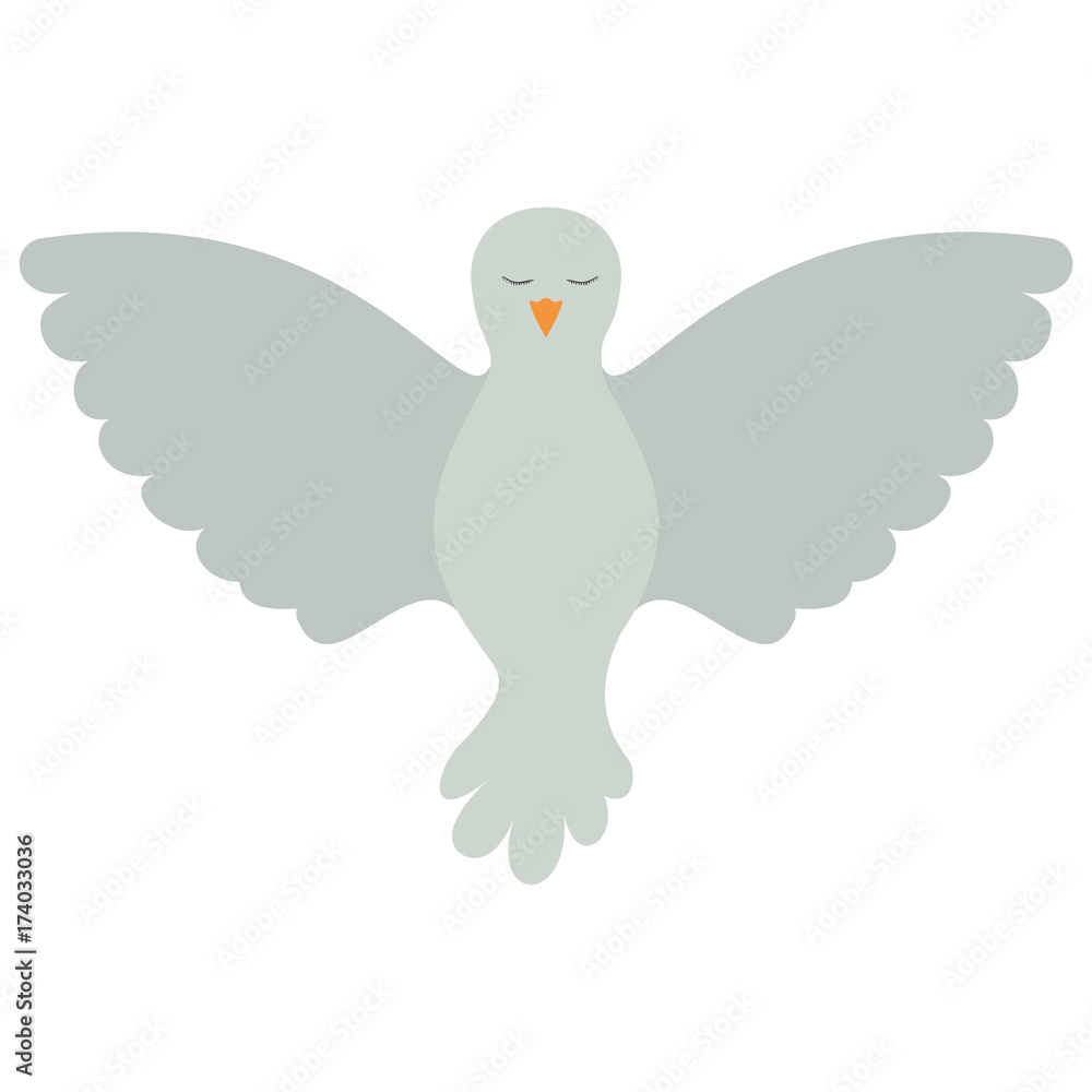 Fototapeta premium pigeon peace front view on colorful silhouette