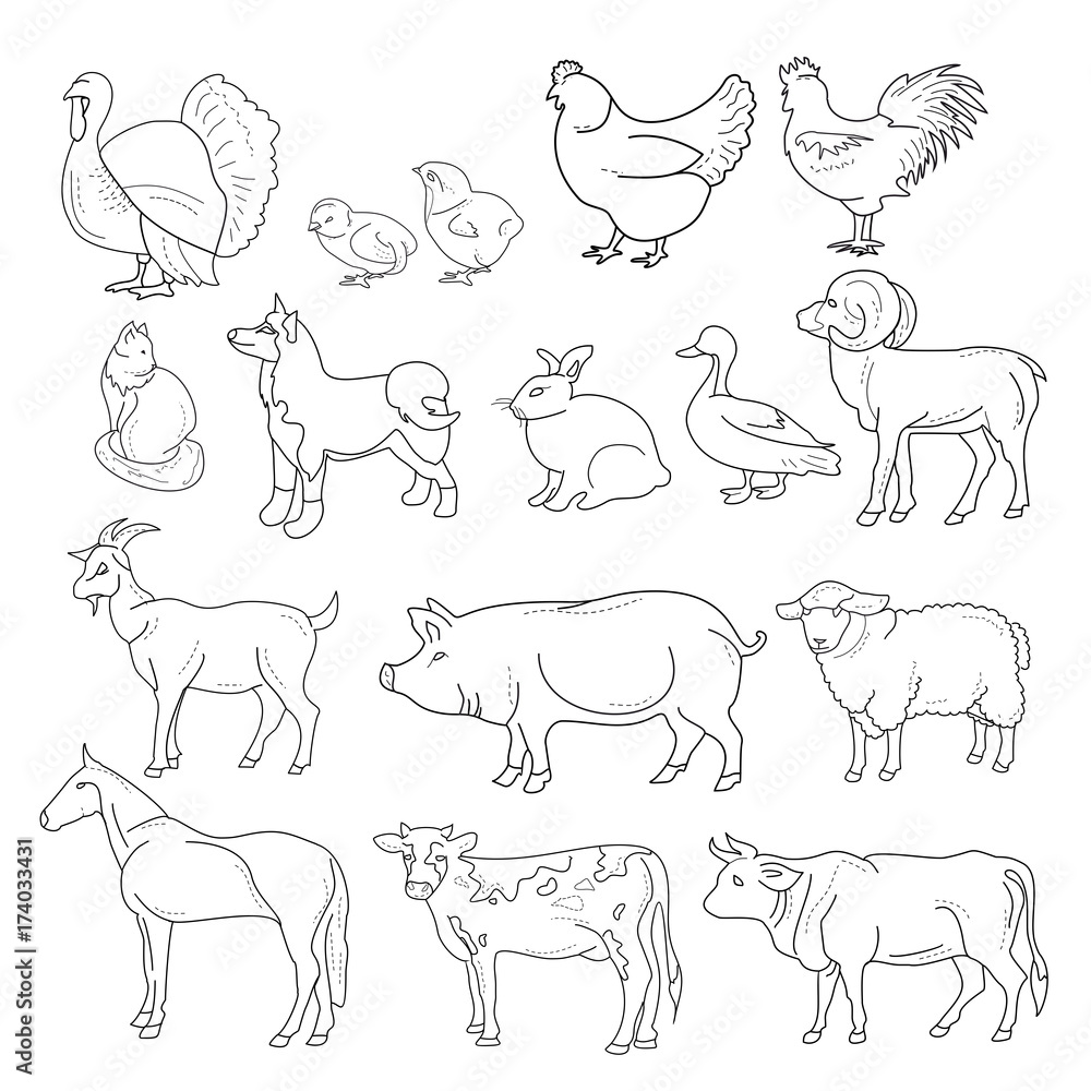 Vector illustration of outline figures of farm animals. Animals in line style on white background. Vector illustration of outline figures of farm animals. Animals in line style on white background.