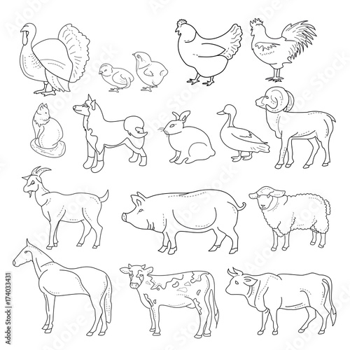 Vector illustration of outline figures of farm animals. Animals in line  style on white background. Stock Vector | Adobe Stock