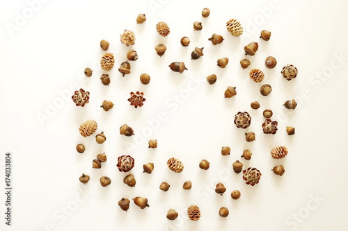 Autumn composition. Frame of acorn, pine cones on white background. Flat lay, top view, copy space