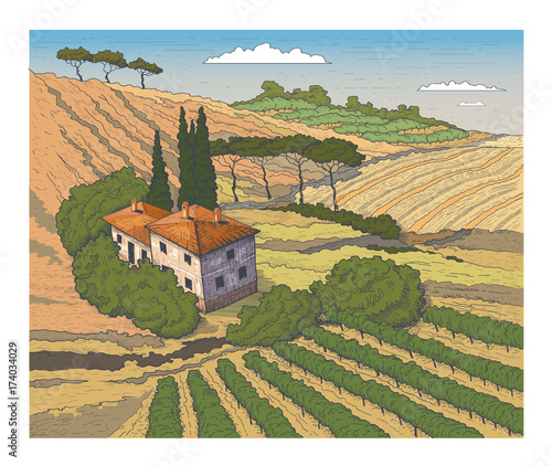 Countryside scenery in Tuscany, Italy. Handmade drawing vector illustration. Vintage style.