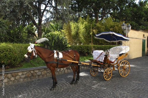 Sorrento, horse-drawn carriage.