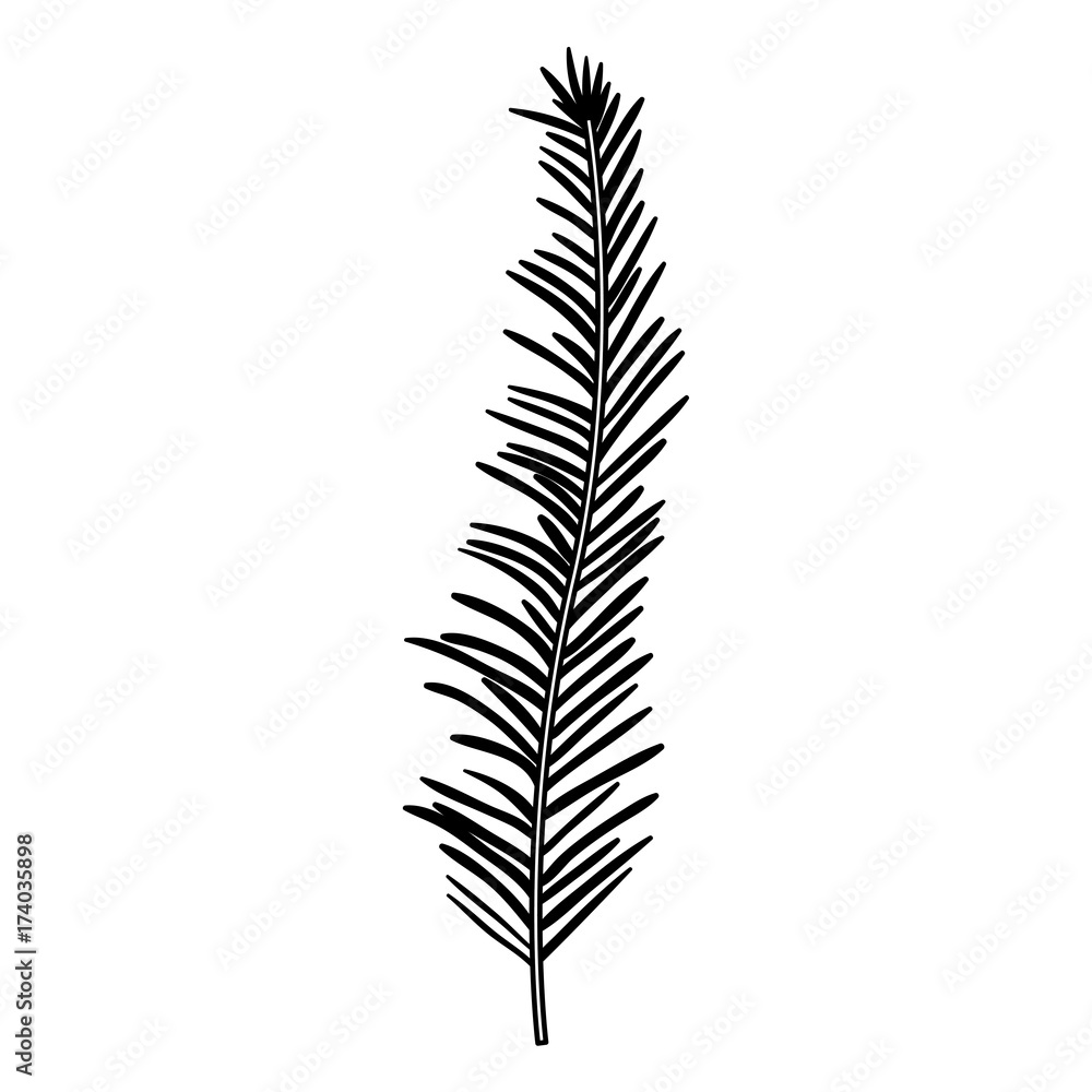 stem with thin leaves on black silhouette stem with thin leaves on black silhouette