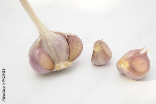 garlic on a white background