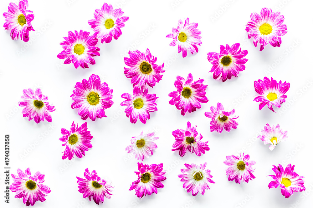 Floral pattern with pink flowers on white background top view