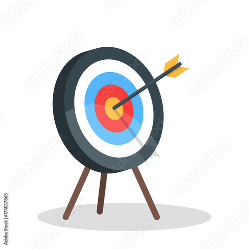 Vector image of the arrow is exactly on the target. Vector illustration isolated on white background